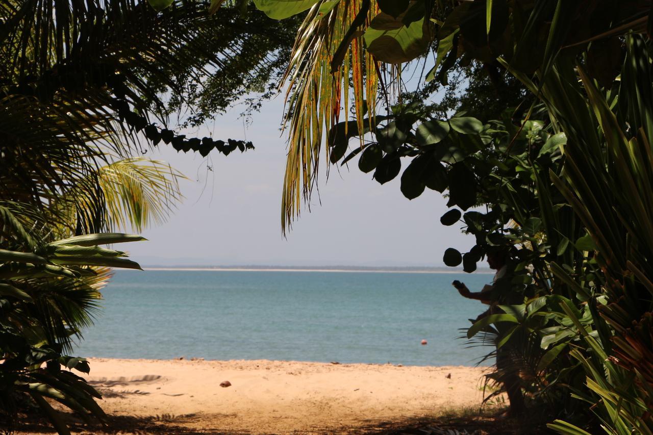 Coroaci Beach House Barra Grande  Zewnętrze zdjęcie